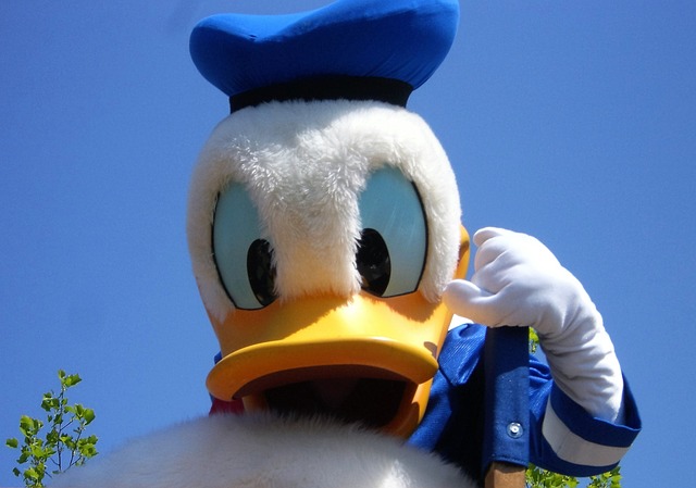 drukkerij Donald Duck failliet
